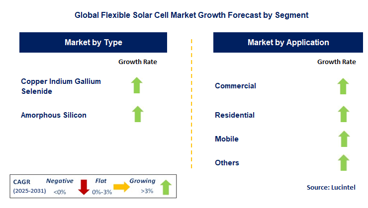 Flexible Solar Cell Market by Segment