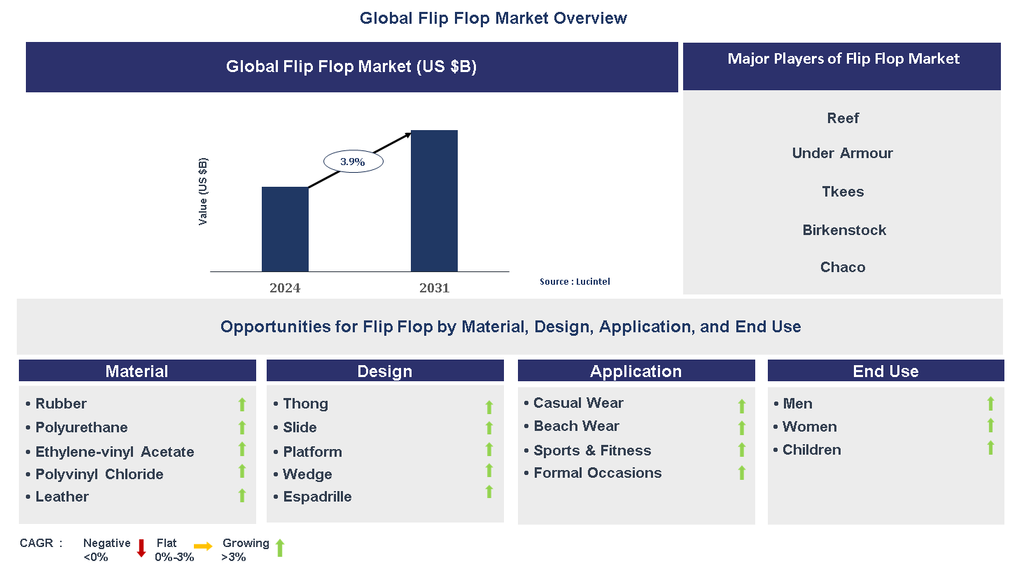 Flip Flop Market Trends and Forecast