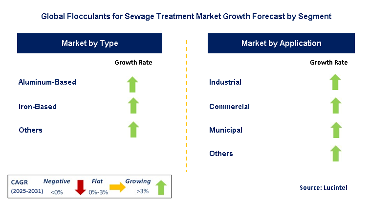 Flocculants for Sewage Treatment Market by Segment