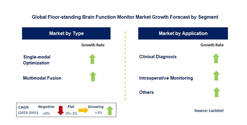 Floor-standing Brain Function Monitor Market by Segment