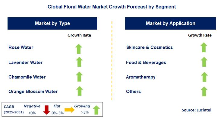 Floral Water Market by Segment