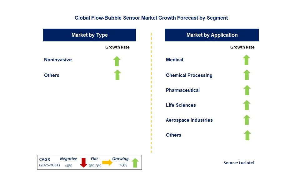 Flow-Bubble Sensor Market by Segment