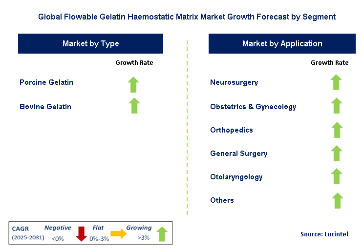 Flowable Gelatin Haemostatic Matrix Market by Segment