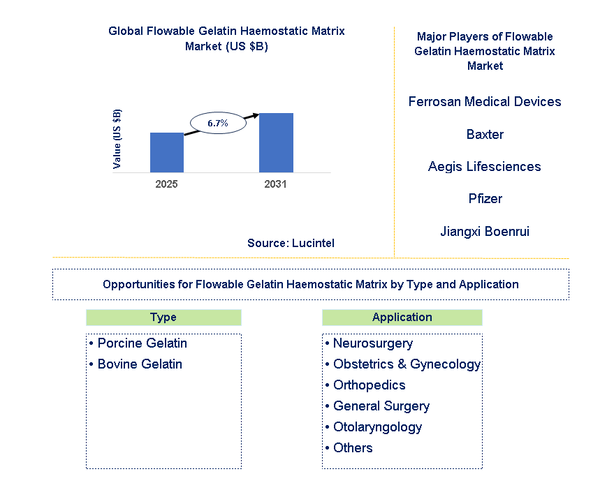Flowable Gelatin Haemostatic Matrix Market Trends and Forecast