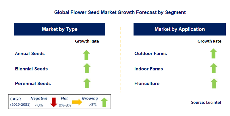 Flower Seed Market by Segment