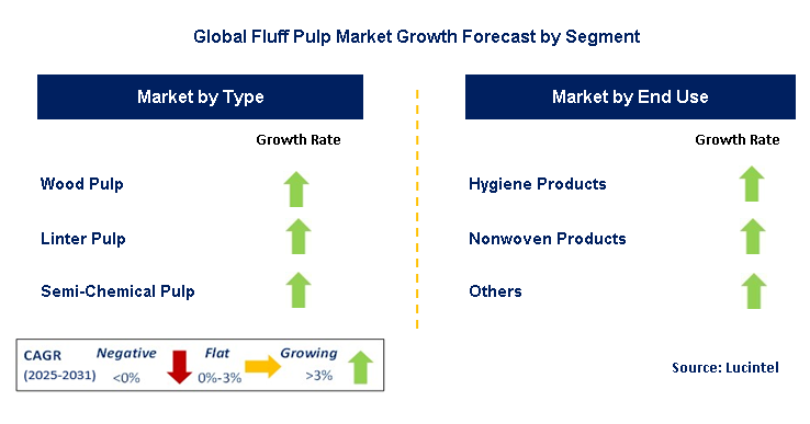 Fluff Pulp Market by Segment