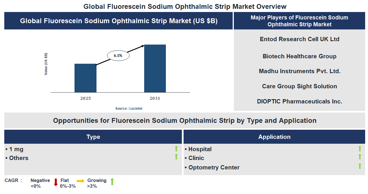 Fluorescein Sodium Ophthalmic Strip Market Trends and Forecast