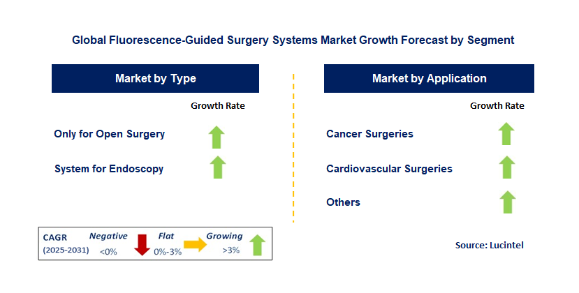 Fluorescence-Guided Surgery System Market by Segment