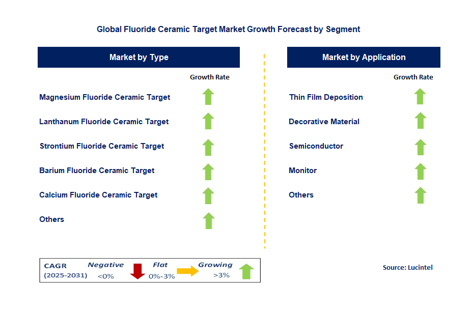 Fluoride Ceramic Target Market by Segment
