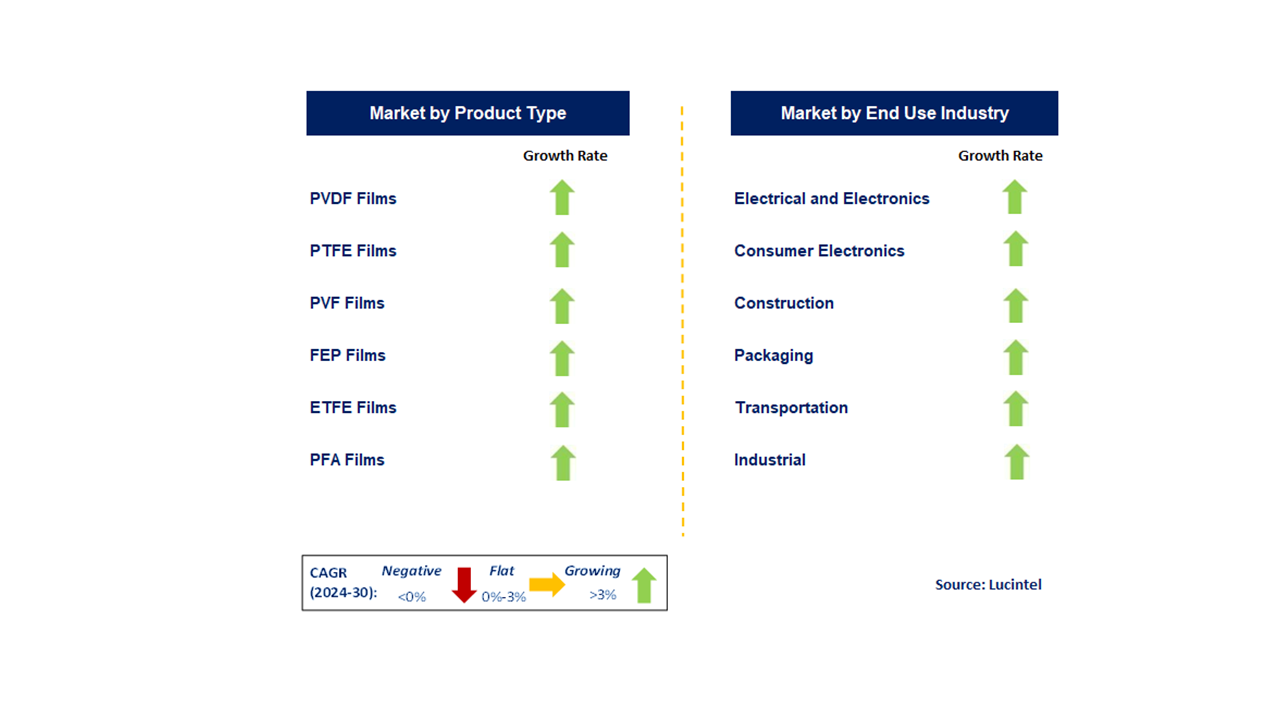 Fluoropolymer Film Market by Segments