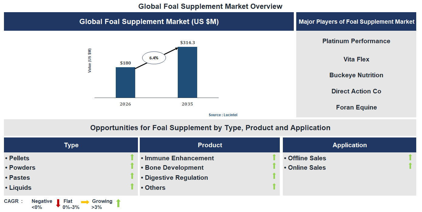 Foal Supplement Market Trends and Forecast