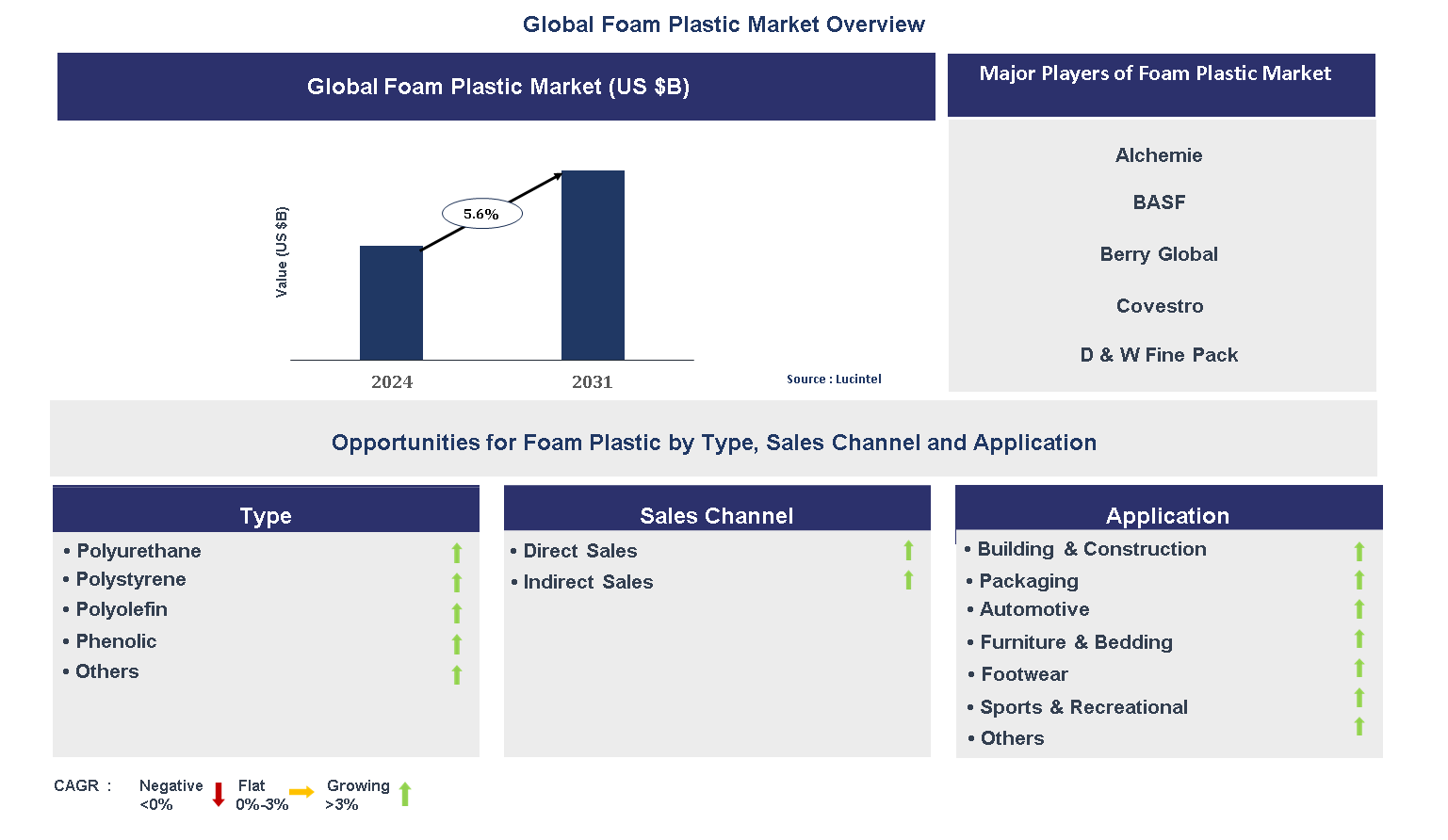 Foam Plastic Market Trends and Forecast
