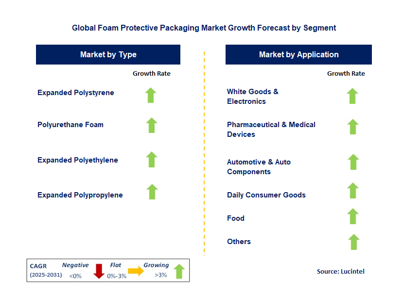 Foam Protective Packaging Market by Segment