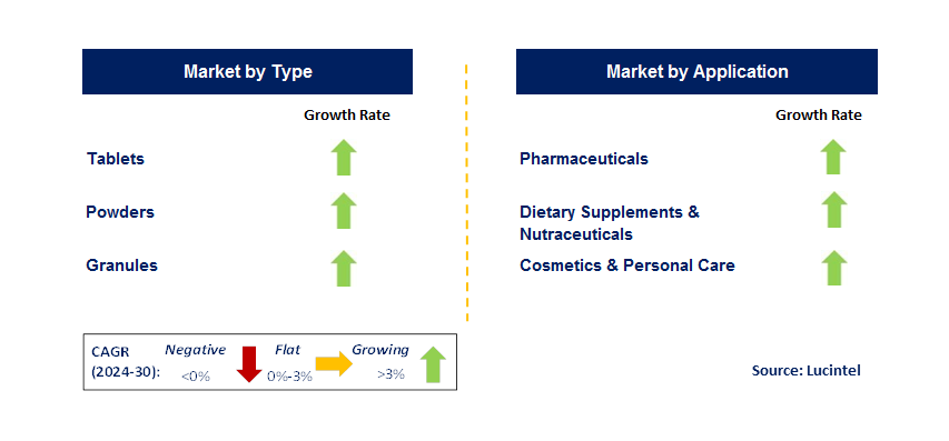 Foamed Packaging by Segment