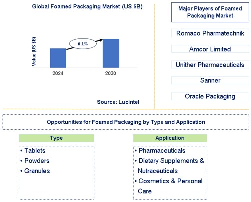 Foamed Packaging Market Trends and Forecast