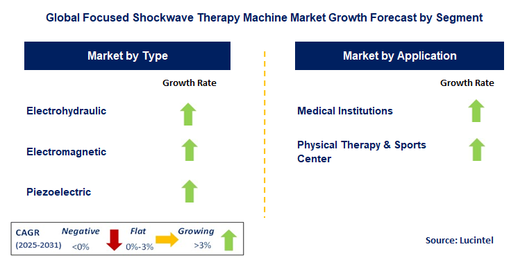 Focused Shockwave Therapy Machine Market by Segment