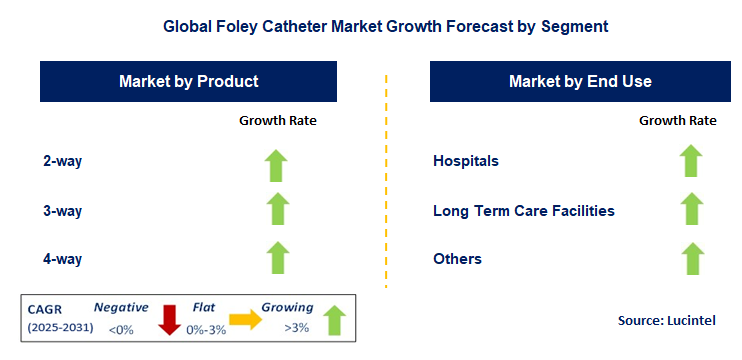 Foley Catheter Market by Segment