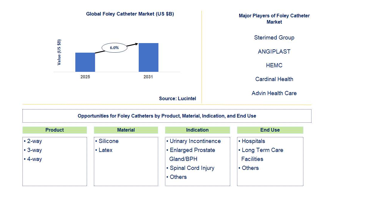 Foley Catheter Market Trends and Forecast