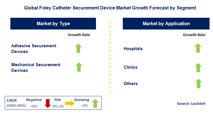 Foley Catheter Securement Device Market by Segment