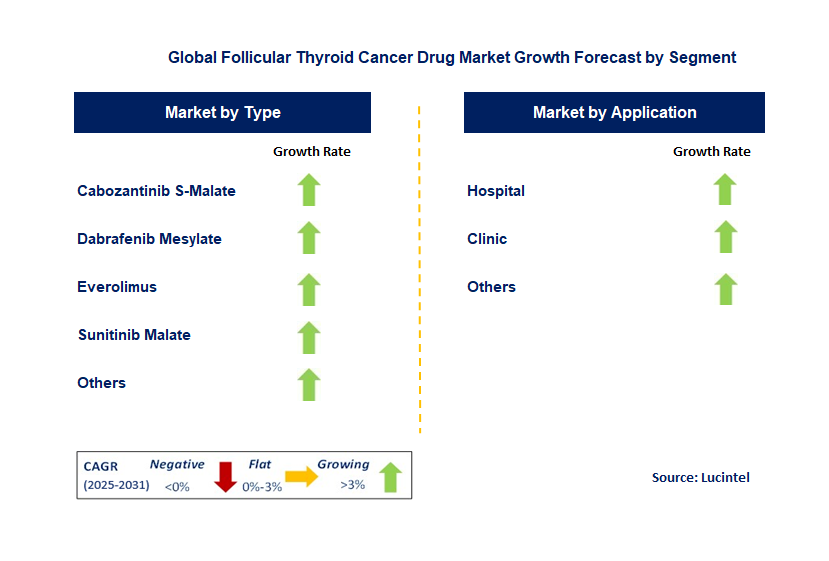 Follicular Thyroid Cancer Drug Market by Segment