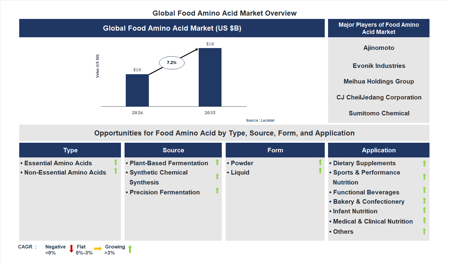 Food Amino Acid Market Trends and Forecast Food Amino Acid Market Trends and Forecast