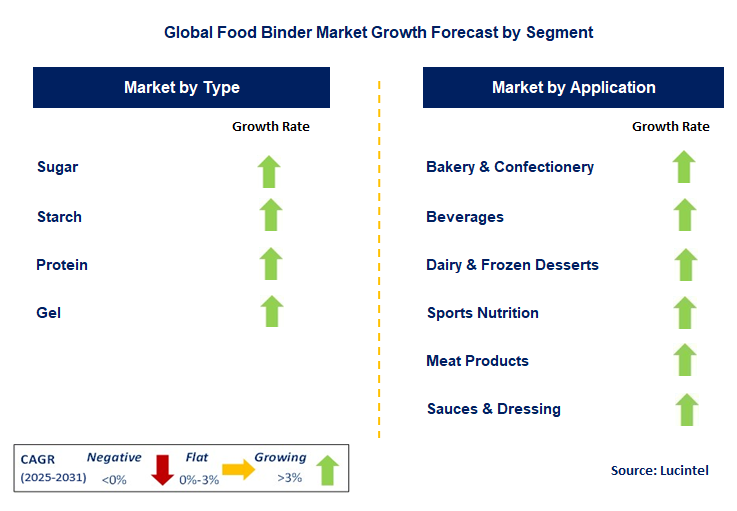 Food Binder Market by Segment