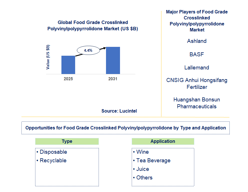 Food Grade Crosslinked Polyvinylpolypyrrolidone Market Trends and Forecast