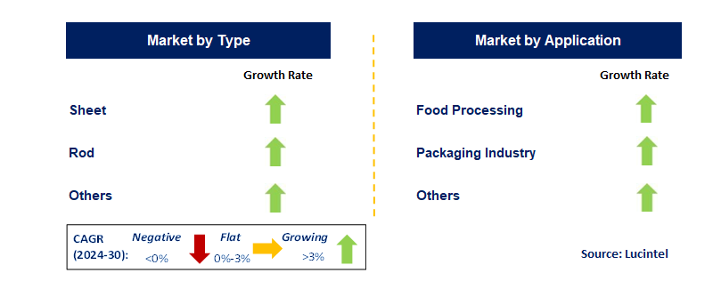 Food Grade PEEK Profile by Segment