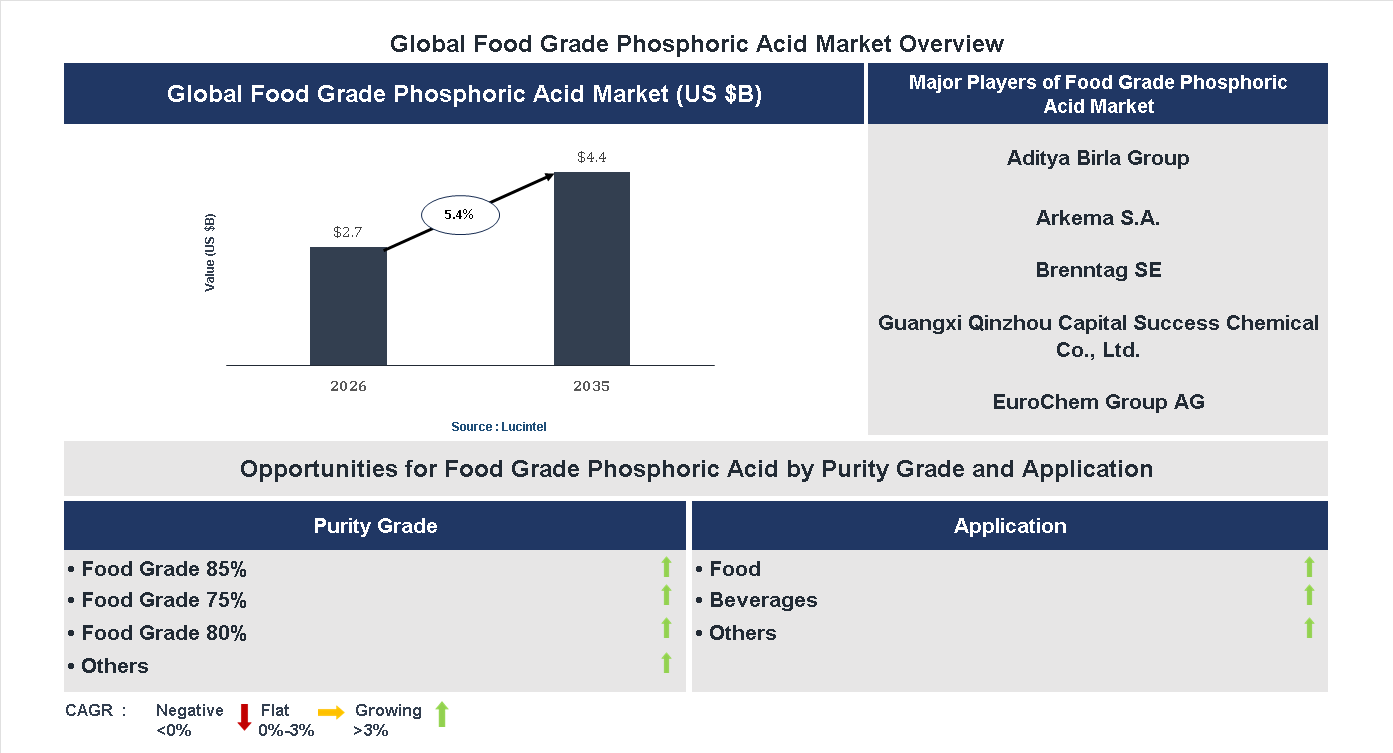 Food Grade Phosphoric Acid Market Trends and Forecast
