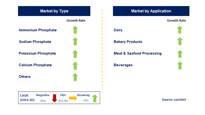 Food Phosphate by Segment