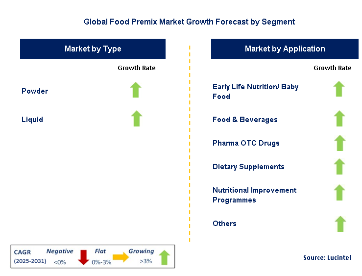 Food Premix Market by Segment