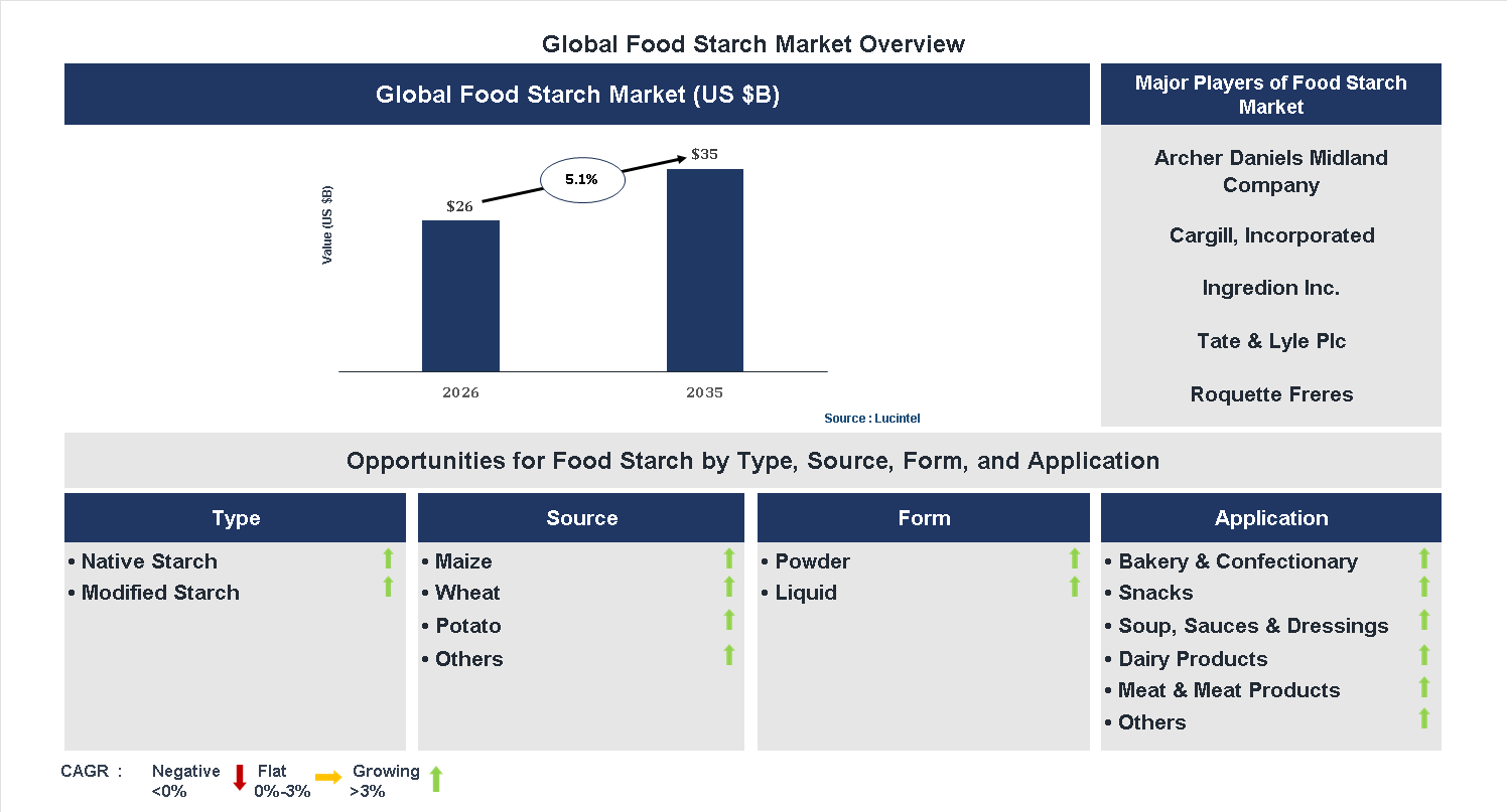 Food Starch Market Trends and Forecast