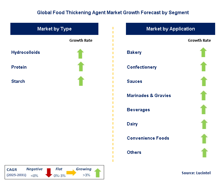 Food Thickening Agent Market by Segment