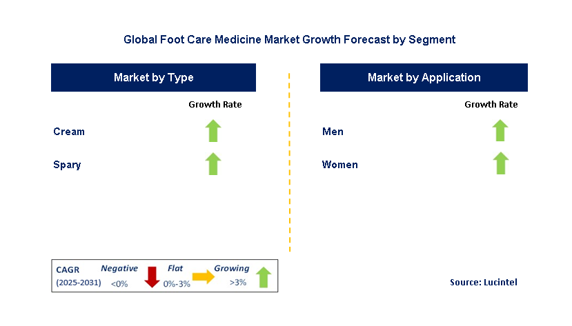 Foot Care Medicine Market by Segment