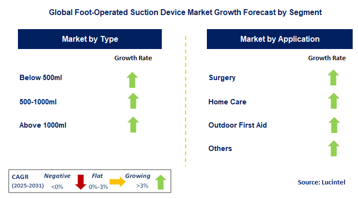 Foot-Operated Suction Device Market by Segment