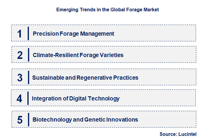 Emerging Trends in the Forage Market