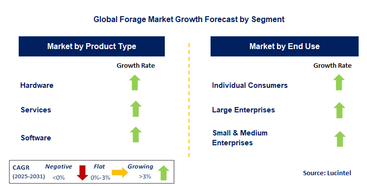 Forage Market by Segment