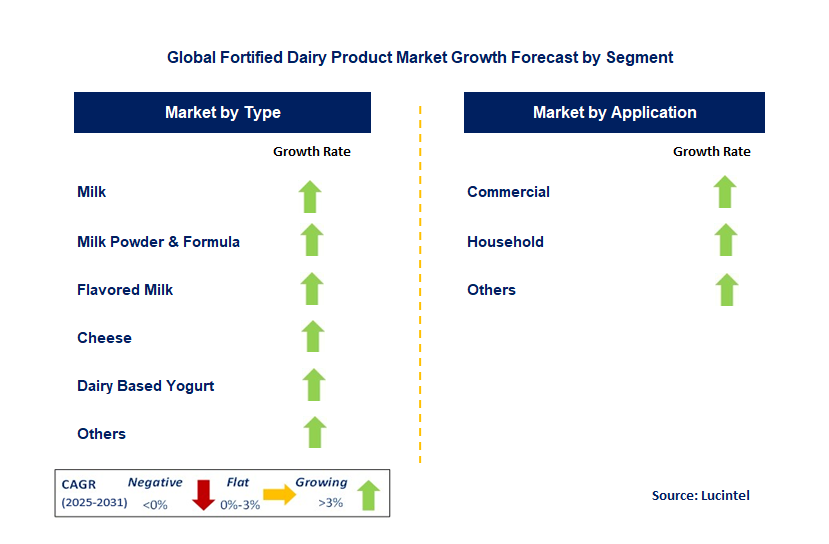 Fortified Dairy Product Market by Segment