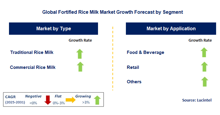 Fortified Rice Milk Market by Segment