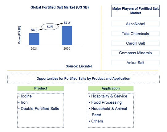 Fortified Salt Trends and Forecast