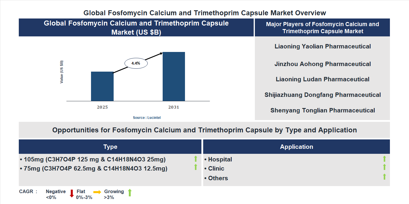 Fosfomycin Calcium and Trimethoprim Capsule Market Trends and Forecast Fosfomycin Calcium and Trimethoprim Capsule Market Trends and Forecast