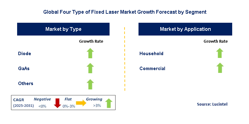 Four Type Of Fixed Laser Market by Segment