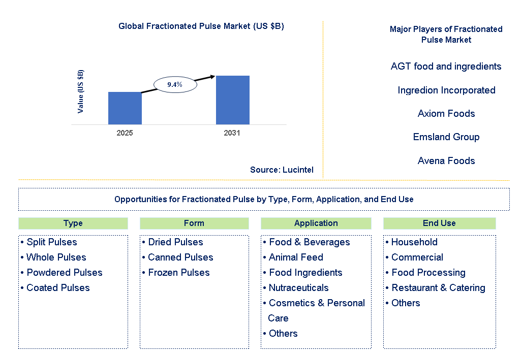 Fractionated Pulse Market Trends and Forecast