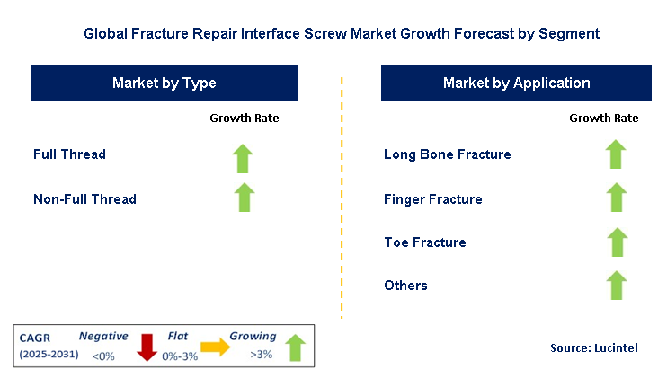 Fracture Repair Interface Screw Market by Segment