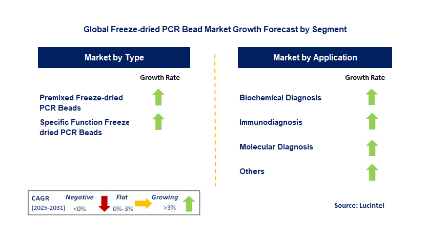 Freeze-dried PCR Bead Market by Segment