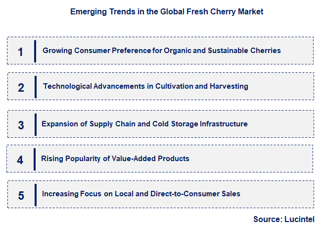 Emerging Trends in the Fresh Cherry Market