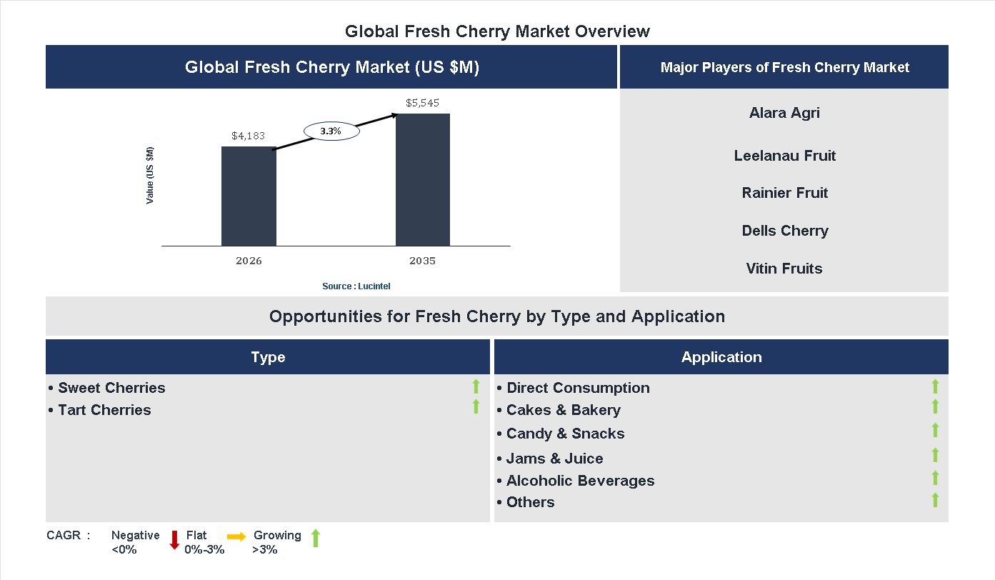 Fresh Cherry Market Trends and Forecast