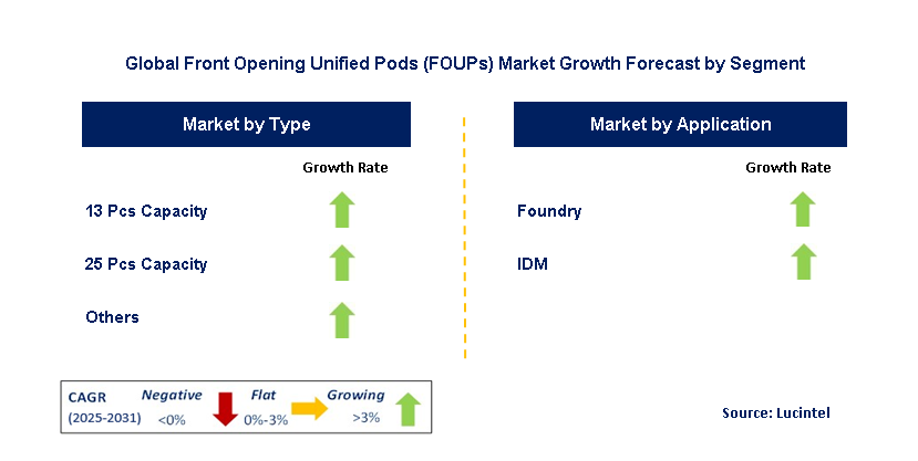 Front Opening Unified Pods (FOUPs) Market by Segment