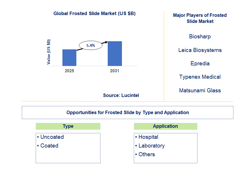 Frosted Slide Market Trends and Forecast