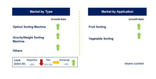 Fruit & Vegetable Sorting Machine by Segment